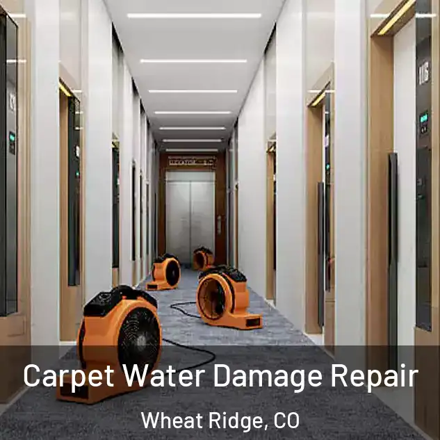  Carpet Water Damage Repair Wheat Ridge, CO