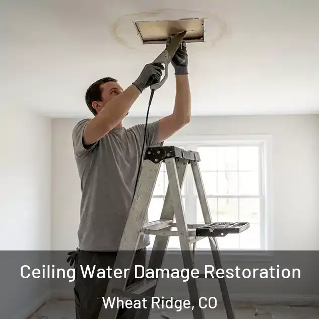  Ceiling Water Damage Restoration Wheat Ridge, CO