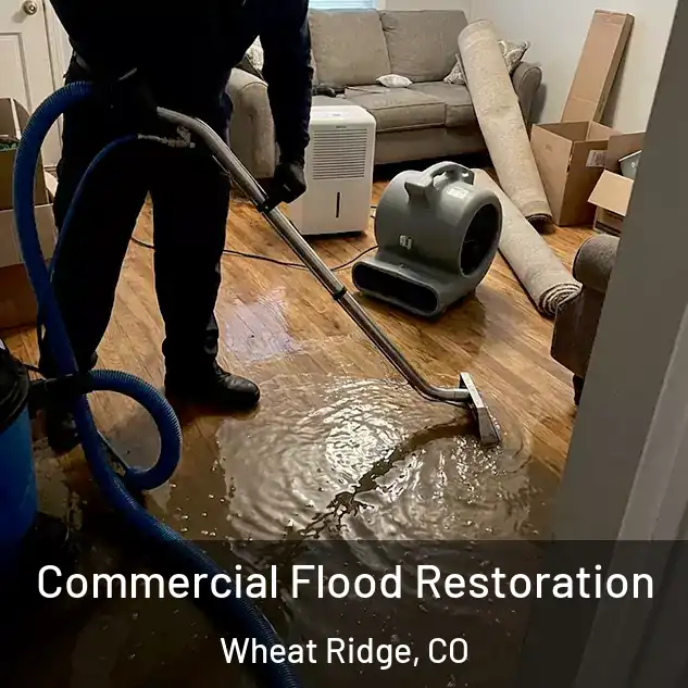  Commercial Flood Restoration Wheat Ridge, CO