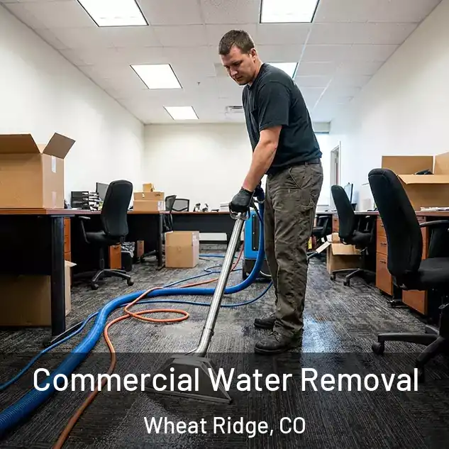  Commercial Water Removal Wheat Ridge, CO