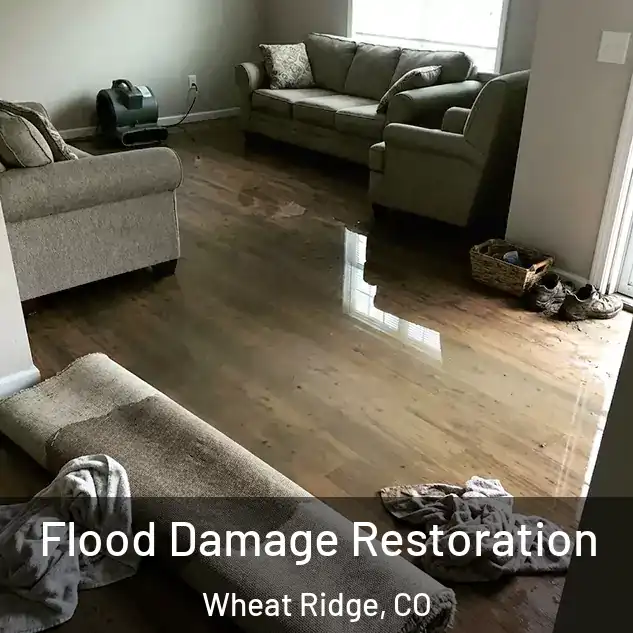  Flood Damage Restoration Wheat Ridge, CO