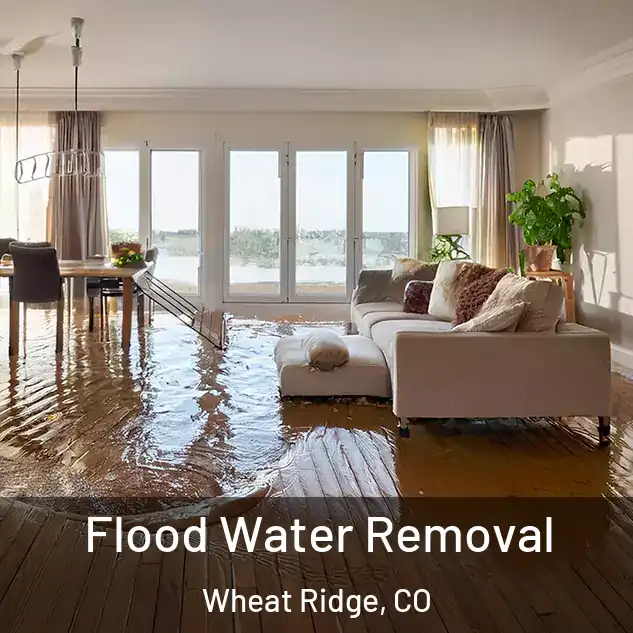  Flood Water Removal Wheat Ridge, CO