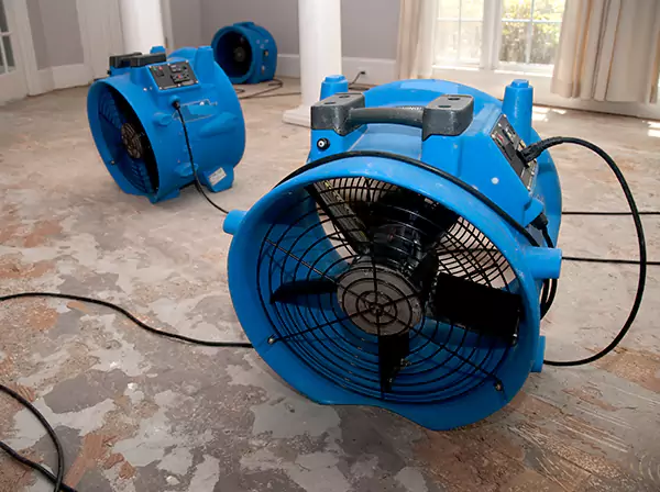 Water Damage Reconstruction in Wheat Ridge