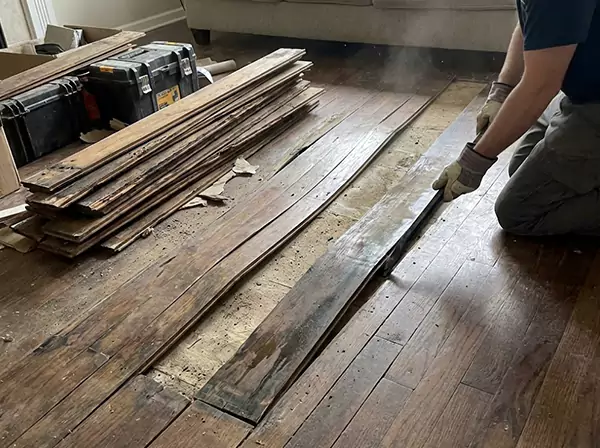Water Damage Drying in Wheat Ridge