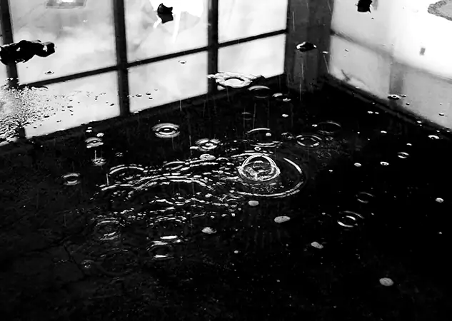 Your Contaminated Water Removal Specialists in Wheat Ridge, CO