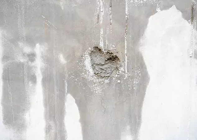 Your Mold Mitigation Solutions Partner in Wheat Ridge, CO