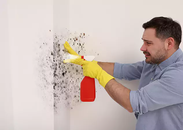 Your Water Mold Fire Restoration Partner in Wheat Ridge, CO