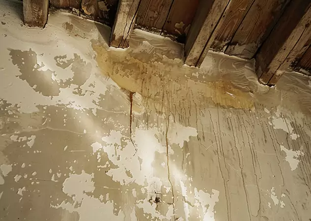 Your Trusted Restoration Company in Wheat Ridge, CO
