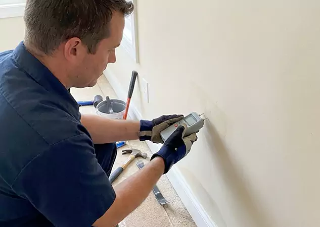 Your Trusted Restoration Company in Wheat Ridge, CO