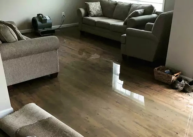 Your Trusted Restoration Company in Wheat Ridge, CO