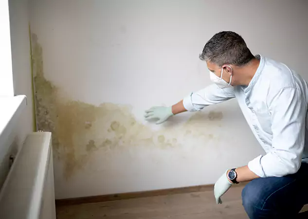 Reach Our Remediation Team Before Damage Grows in Wheat Ridge, CO!
