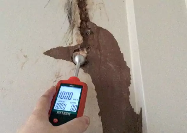 Your Water Damage Assessment Partner in Wheat Ridge, CO