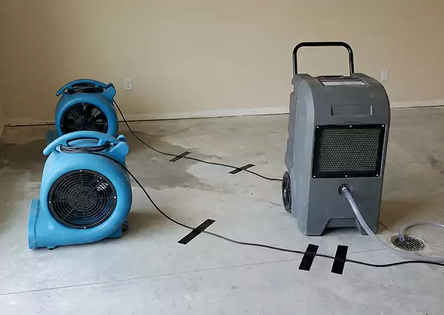 Your Water Dry Out Company in Wheat Ridge, CO