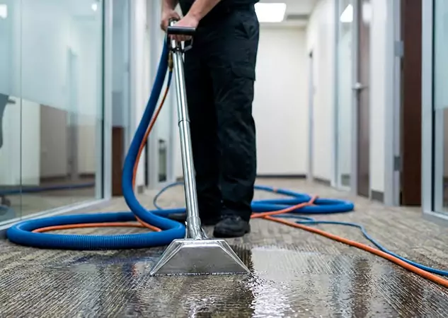 Your Water Damaged Carpet Restoration Partner in Wheat Ridge, CO