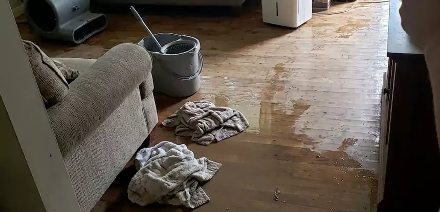 Professional Basement Water Remediation Services in Wheat Ridge, CO