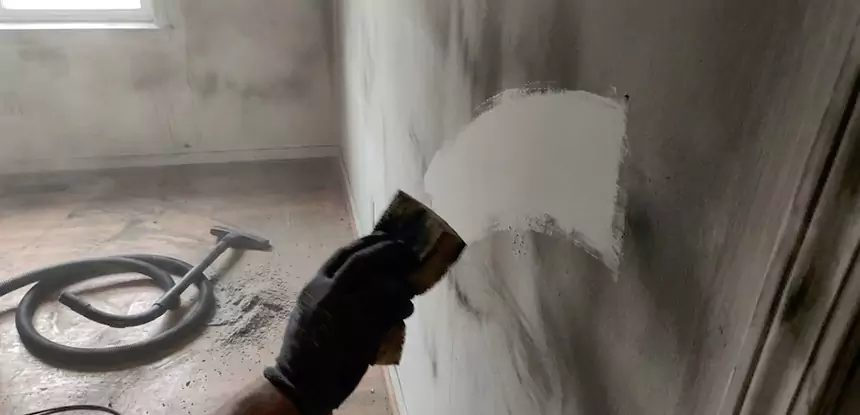 Professional Water and Fire Damage Restoration Services in Wheat Ridge, CO