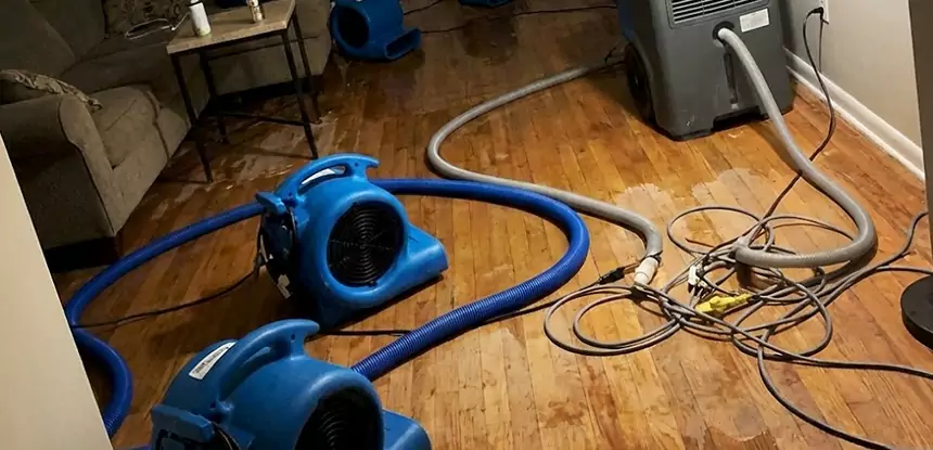 Basement Flood Restoration Services in Wheat Ridge