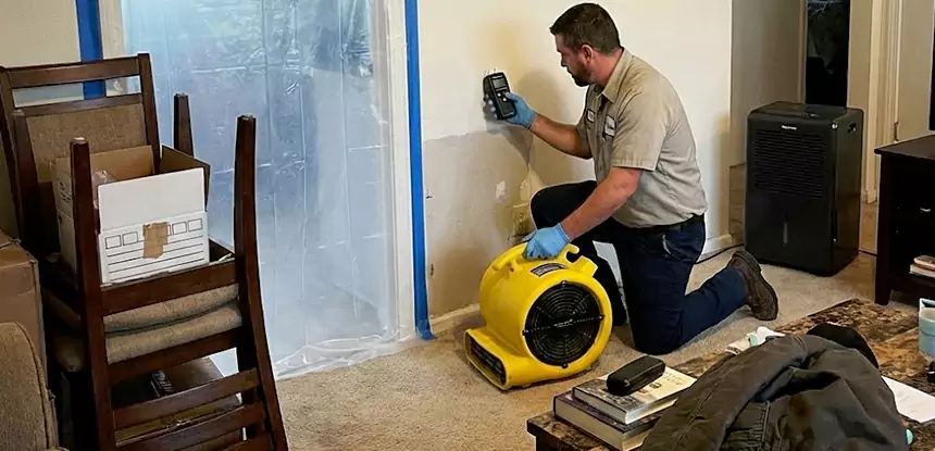 Carpet Water Damage Repair Wheat Ridge