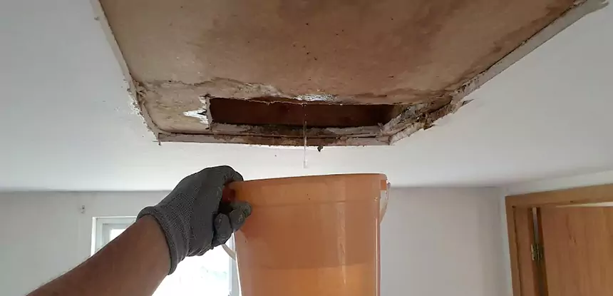 Ceiling Mold Repair Wheat Ridge 