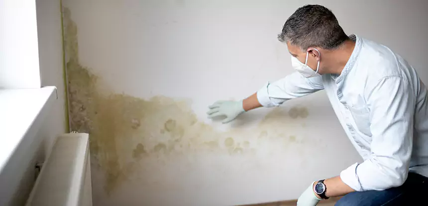 Mold and Water Damage Repair in Wheat Ridge