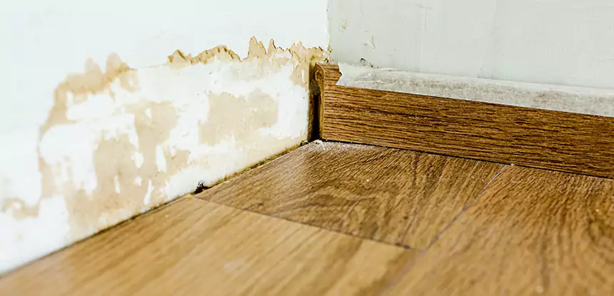 Professional Fix Water Damaged Wood Services in Wheat Ridge, CO