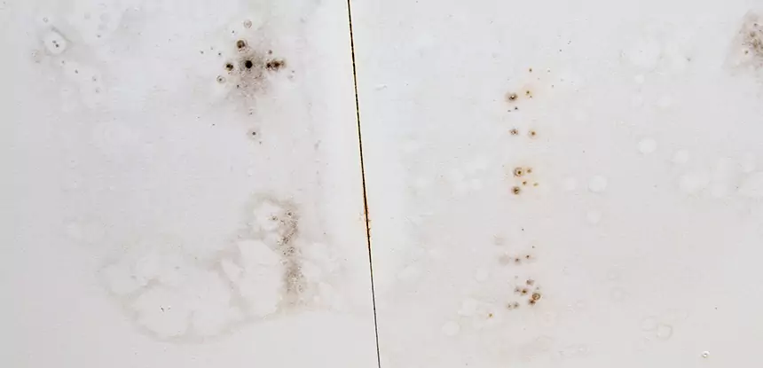 Professional Water Stain Repair Services in Wheat Ridge, CO