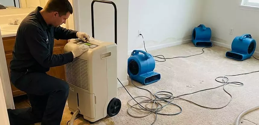 Professional Wet Carpet Removal Services in Wheat Ridge, CO