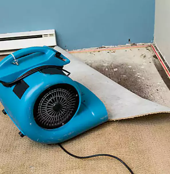 Why Wheat Ridge Trusts Wheat Ridge Restoration Pro for Carpet Flood Recovery?