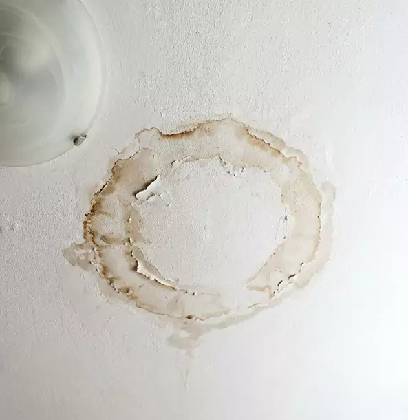 Why Wheat Ridge Property Owners Choose Wheat Ridge Restoration Pro for Ceiling Water Damage Restoration?
