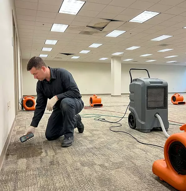 Why Wheat Ridge Businesses Choose Wheat Ridge Restoration Pro for Water Cleanup?