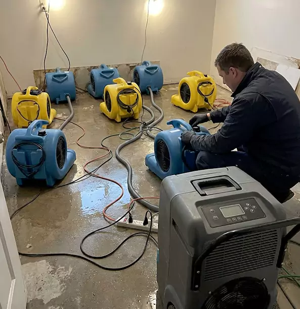 Why Wheat Ridge Businesses Trust Wheat Ridge Restoration Pro for Water Damage Response?