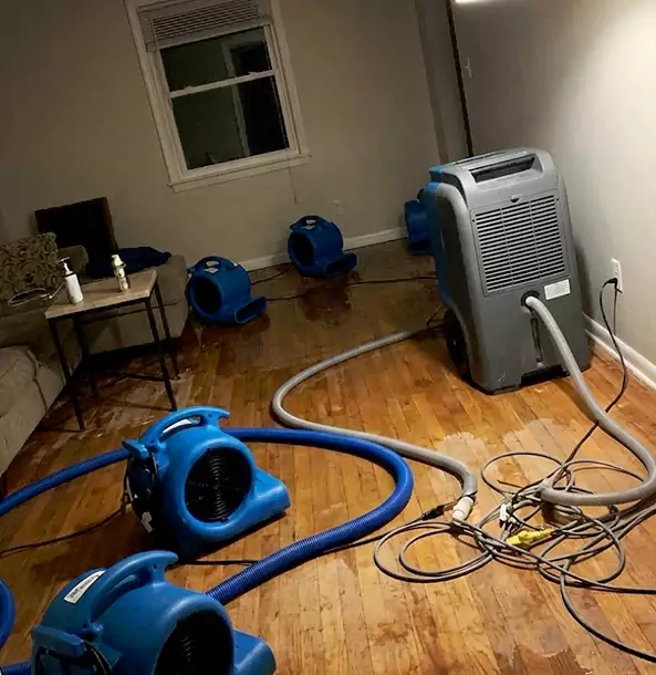 Why Wheat Ridge Calls Wheat Ridge Restoration Pro First for Emergency Restoration?