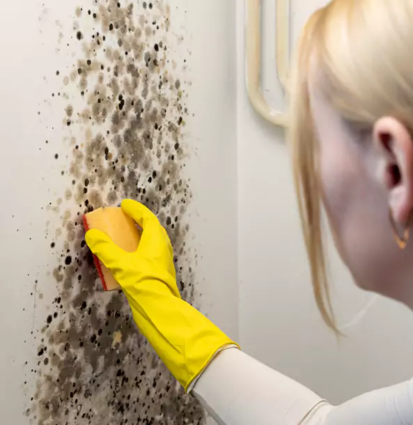 Why Wheat Ridge Restoration Pro Leads Mold Remediation in Wheat Ridge?