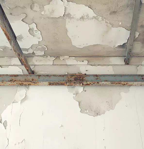 Why Wheat Ridge Restoration Pro Is the Right Choice in Wheat Ridge, CO?