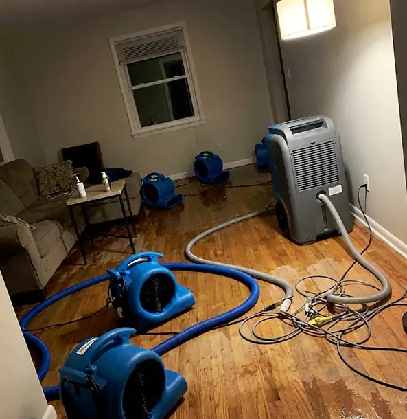 Why Wheat Ridge Property Owners Rely on Wheat Ridge Restoration Pro for Remediation?