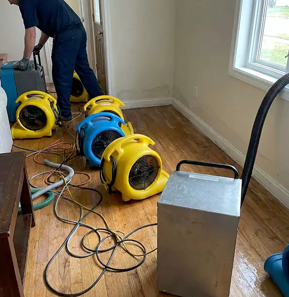 Why Wheat Ridge Property Owners Choose Wheat Ridge Restoration Pro for Remediation?