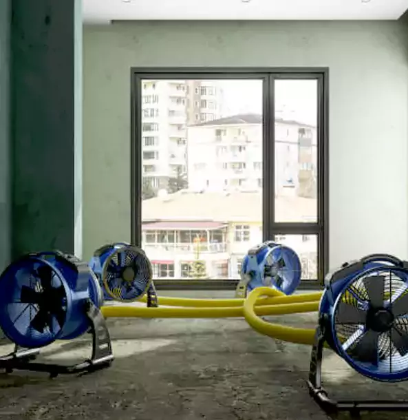 Why Wheat Ridge Property Owners Trust Wheat Ridge Restoration Pro for Water Damage Drying?