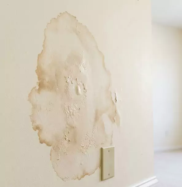 Why Wheat Ridge Homeowners Trust Wheat Ridge Restoration Pro for Drywall Restoration?