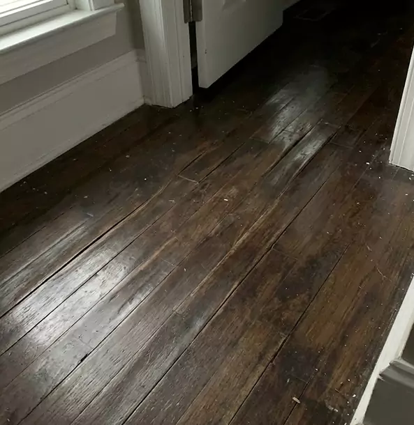 Why Wheat Ridge Homeowners Trust Wheat Ridge Restoration Pro to Fix Water Damaged Wood?