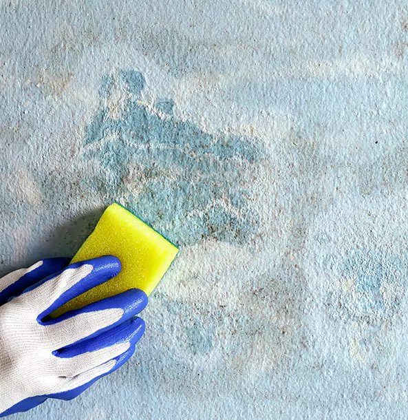 Why Wheat Ridge Restoration Pro Is the Right Choice in Wheat Ridge, CO?