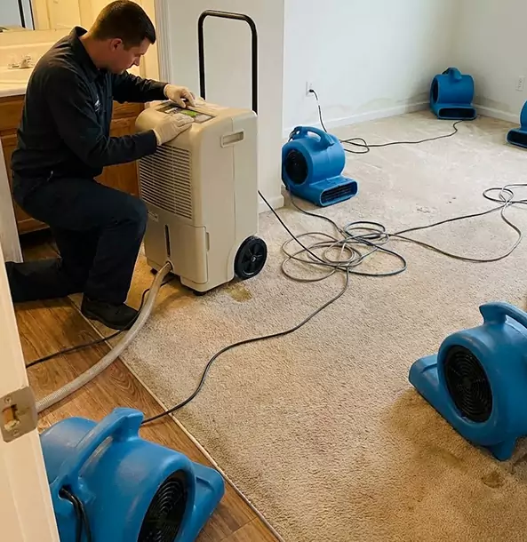 Why Wheat Ridge Homeowners and Businesses Trust Wheat Ridge Restoration Pro for Carpet Drying?