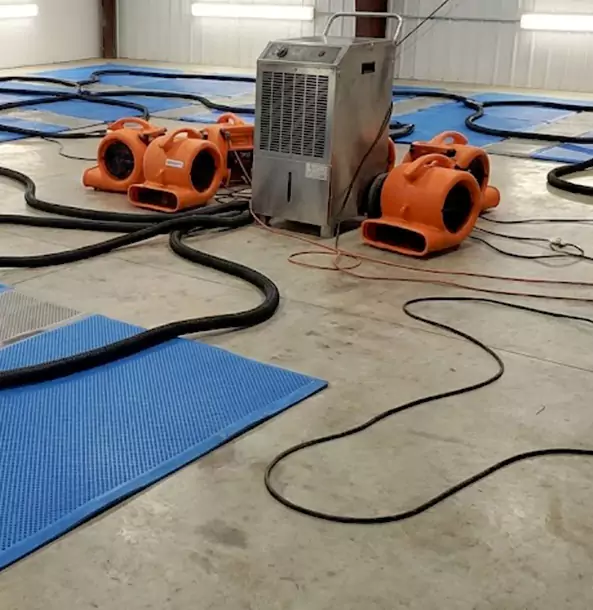 Why Wheat Ridge Homeowners and Businesses Choose Wheat Ridge Restoration Pro for Wet Carpet Removal?