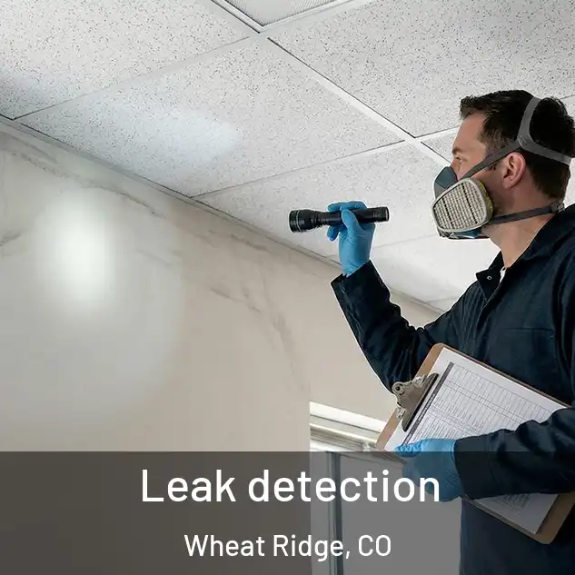  Leak detection Wheat Ridge, CO