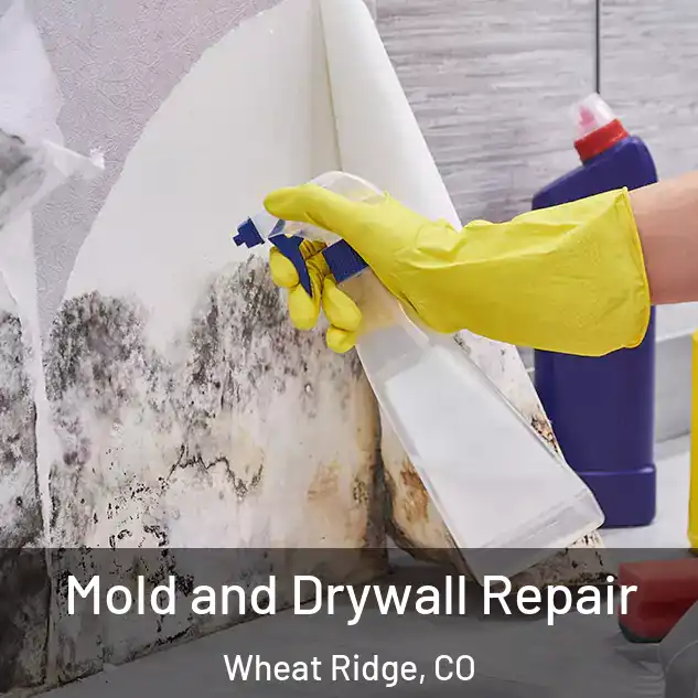  Mold and Drywall Repair Wheat Ridge, CO