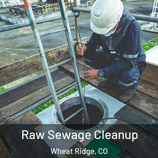  Raw Sewage Cleanup Wheat Ridge, CO