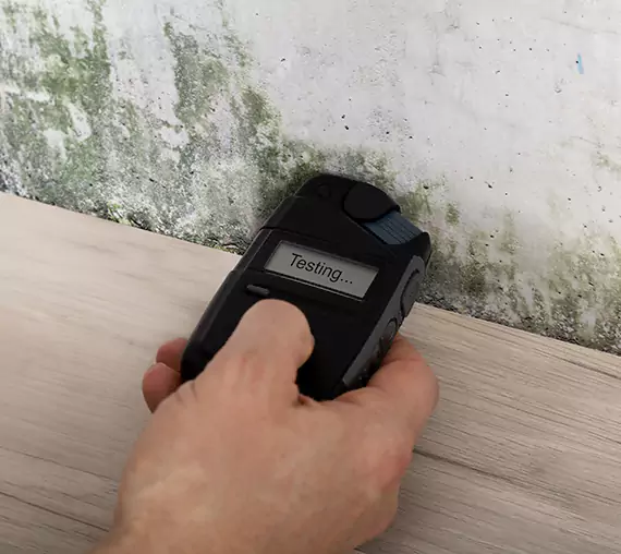 Mold Remediation Service Wheat Ridge