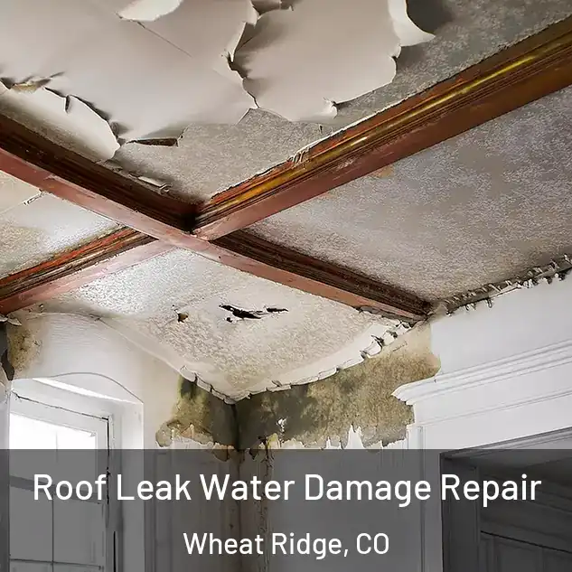  Roof Leak Water Damage Repair Wheat Ridge, CO
