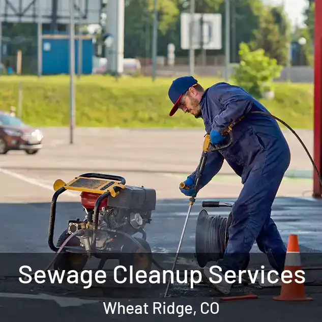  Sewage Cleanup Services Wheat Ridge, CO