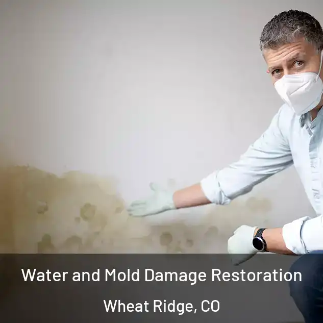  Water and Mold Damage Restoration Wheat Ridge, CO