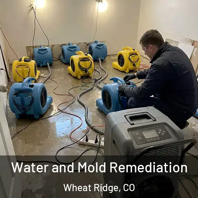  Water and Mold Remediation Wheat Ridge, CO